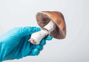 psychedelic-assisted healing