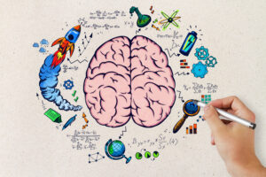 breathwork and the brain